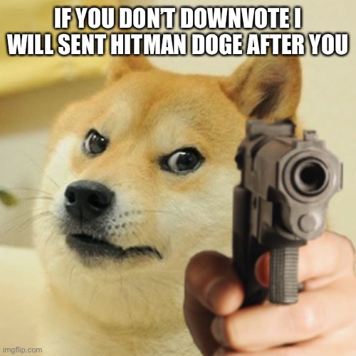 IF YOU DON’T DOWNVOTE I WILL SENT HITMAN DOGE AFTER YOU | image tagged in doge holding a gun | made w/ Imgflip meme maker