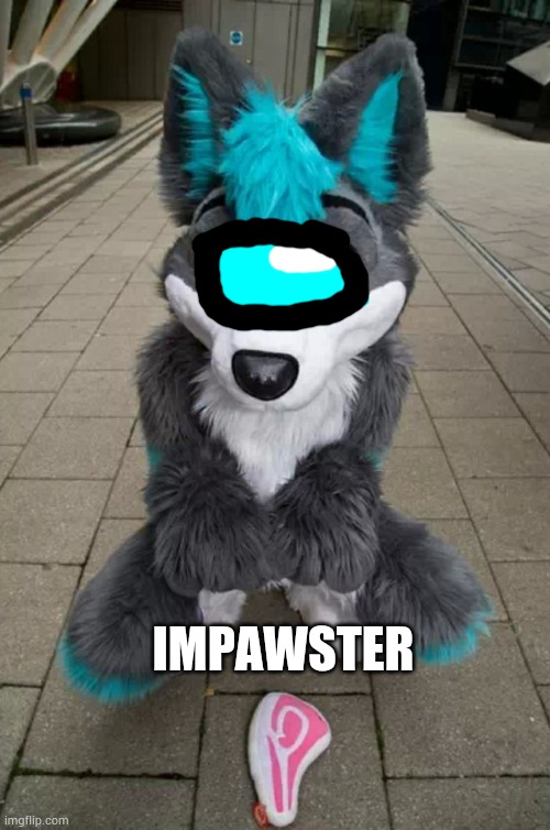 Furry | IMPAWSTER | image tagged in furry | made w/ Imgflip meme maker