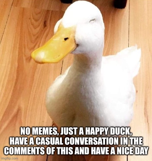 SMILE DUCK | NO MEMES, JUST A HAPPY DUCK, HAVE A CASUAL CONVERSATION IN THE COMMENTS OF THIS AND HAVE A NICE DAY | image tagged in smile duck | made w/ Imgflip meme maker