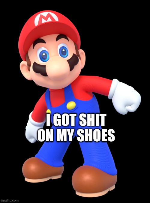 Derpy Mario | I GOT SHIT ON MY SHOES | image tagged in derpy mario | made w/ Imgflip meme maker