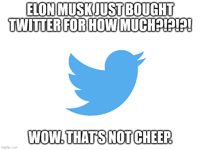 Twitter isn't cheep | ELON MUSK JUST BOUGHT TWITTER FOR HOW MUCH?!?!?! WOW. THAT'S NOT CHEEP. | image tagged in twitter,elon musk | made w/ Imgflip meme maker