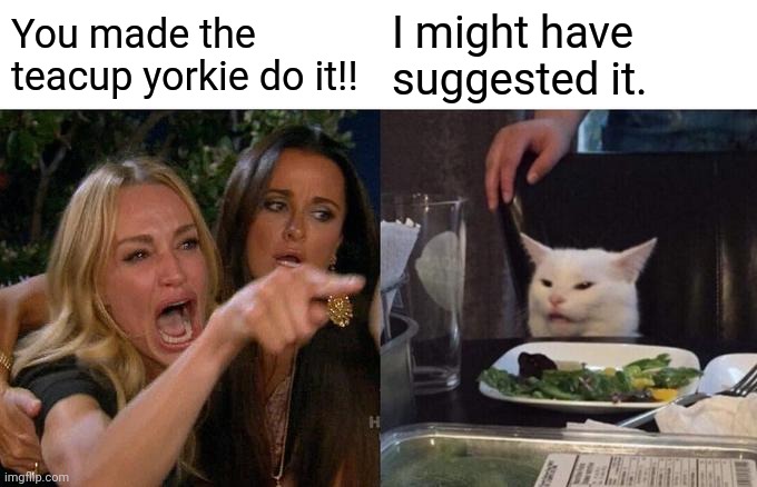 Woman Yelling At Cat |  You made the teacup yorkie do it!! I might have suggested it. | image tagged in memes,woman yelling at cat | made w/ Imgflip meme maker