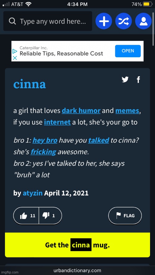 Idk what to say here | image tagged in cinna,urban dictionary | made w/ Imgflip meme maker