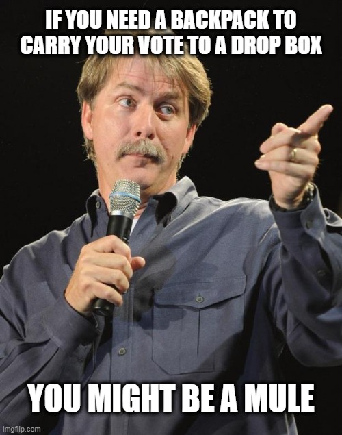 Just Maybe... | IF YOU NEED A BACKPACK TO CARRY YOUR VOTE TO A DROP BOX; YOU MIGHT BE A MULE | image tagged in jeff foxworthy,2000 mules,election fraud,voting drop boxes,restore the republic | made w/ Imgflip meme maker