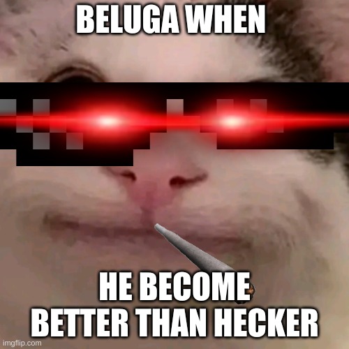 Beluga |  BELUGA WHEN; HE BECOME BETTER THAN HECKER | image tagged in beluga | made w/ Imgflip meme maker