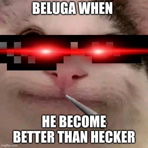 Beluga | BELUGA WHEN; HE BECOME BETTER THAN HECKER | image tagged in beluga | made w/ Imgflip meme maker