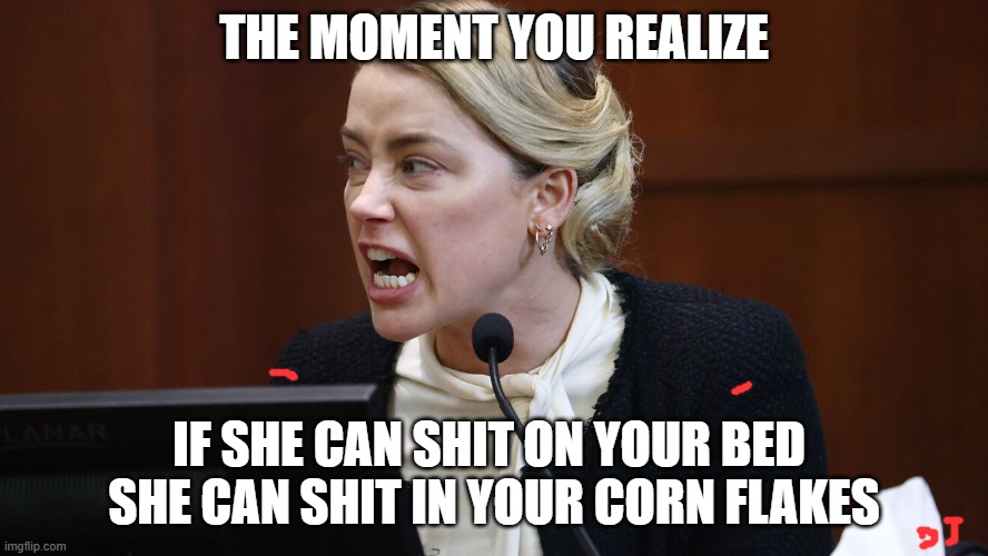 amber heard |  THE MOMENT YOU REALIZE; IF SHE CAN SHIT ON YOUR BED 
SHE CAN SHIT IN YOUR CORN FLAKES | image tagged in amber heard,corn flakes,poop,wtf,funny,johnny depp | made w/ Imgflip meme maker