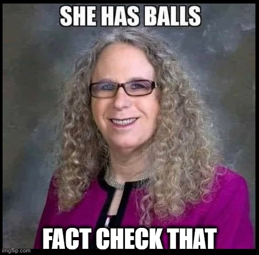 I ain't checking | FACT CHECK THAT | image tagged in dude looks like a lady,it's a mad world,up is down,fact check | made w/ Imgflip meme maker