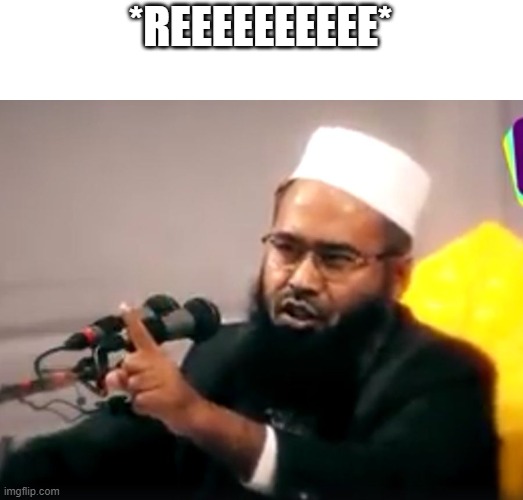 haram-halal | *REEEEEEEEEE* | image tagged in haram-halal | made w/ Imgflip meme maker