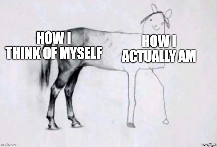 My life |  HOW I THINK OF MYSELF; HOW I ACTUALLY AM | image tagged in horse drawing,sad,life | made w/ Imgflip meme maker