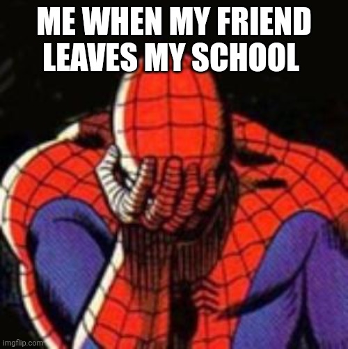 WAAAAHHHHH | ME WHEN MY FRIEND LEAVES MY SCHOOL | image tagged in memes,sad spiderman,spiderman,sad,today | made w/ Imgflip meme maker