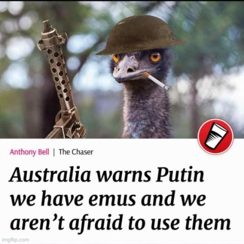 emo or emu | image tagged in berserk | made w/ Imgflip meme maker