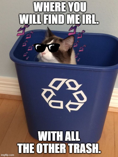 my home. | WHERE YOU WILL FIND ME IRL. WITH ALL THE OTHER TRASH. | image tagged in cat recycle | made w/ Imgflip meme maker