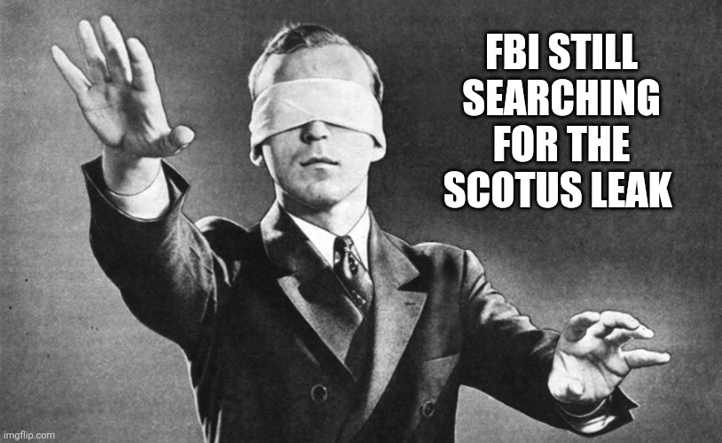 An update on the case. | FBI STILL SEARCHING FOR THE SCOTUS LEAK | image tagged in blindfolded | made w/ Imgflip meme maker