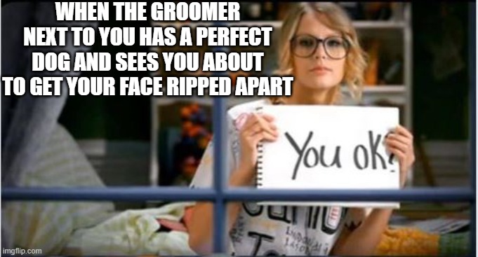 You okay? | WHEN THE GROOMER NEXT TO YOU HAS A PERFECT DOG AND SEES YOU ABOUT TO GET YOUR FACE RIPPED APART | image tagged in you ok taylor swift | made w/ Imgflip meme maker