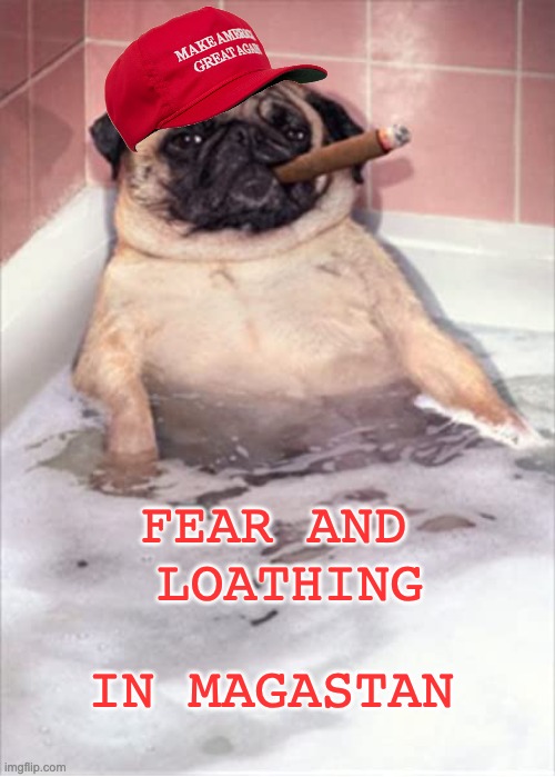 You know what to do when the song peaks | FEAR AND 
LOATHING; IN MAGASTAN | image tagged in pug dog cigar bubble bath,magastan,fear and loathing,fear and loathing in las vegas | made w/ Imgflip meme maker