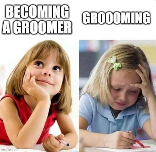 Reality | BECOMING A GROOMER; GROOOMING | image tagged in happy sad girl | made w/ Imgflip meme maker