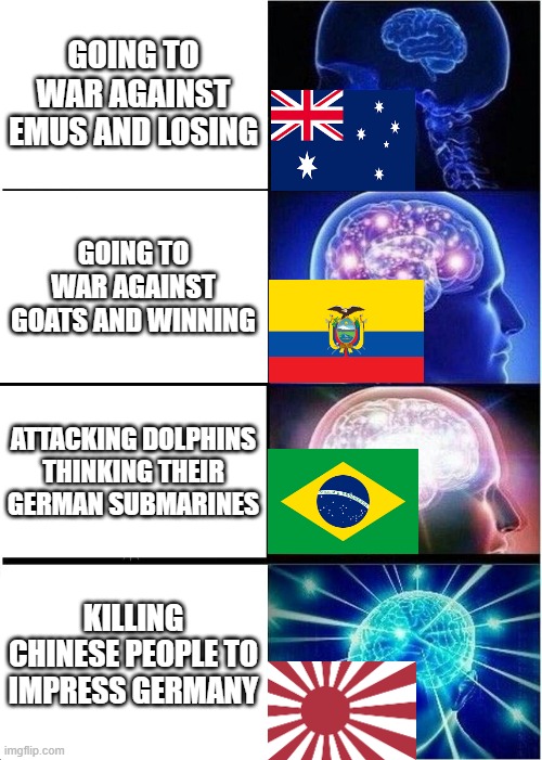 Animal rights be like... | GOING TO WAR AGAINST EMUS AND LOSING; GOING TO WAR AGAINST GOATS AND WINNING; ATTACKING DOLPHINS THINKING THEIR GERMAN SUBMARINES; KILLING CHINESE PEOPLE TO IMPRESS GERMANY | image tagged in memes,expanding brain | made w/ Imgflip meme maker