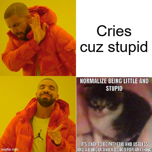 Ok this is welcomed in to the cats cuz theres k i t t e n | Cries cuz stupid | image tagged in memes,drake hotline bling | made w/ Imgflip meme maker