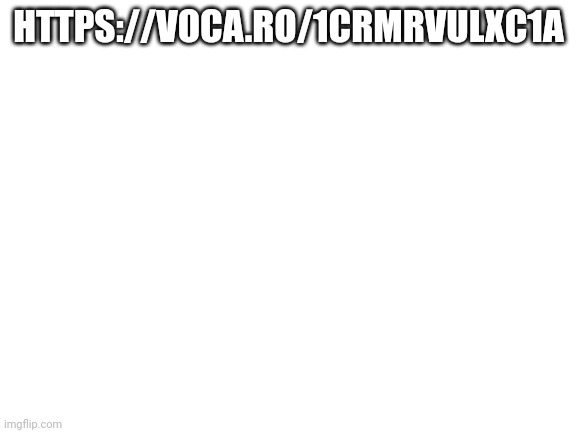 https://voca.ro/1cRmrvULXC1a | HTTPS://VOCA.RO/1CRMRVULXC1A | image tagged in blank white template | made w/ Imgflip meme maker