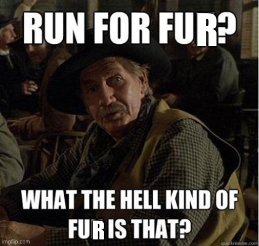 Run For Office? | R; R | image tagged in run for office | made w/ Imgflip meme maker