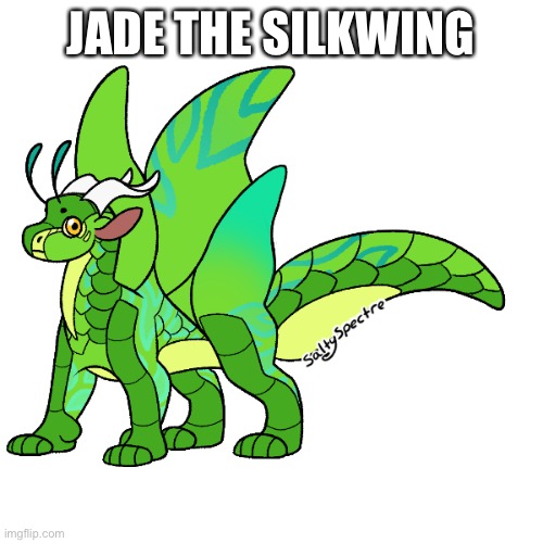 So that’s one for every tribe besides mudwings (Got Hive and Leafwings in a hybrid) |  JADE THE SILKWING | made w/ Imgflip meme maker