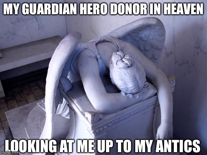 Not again | MY GUARDIAN HERO DONOR IN HEAVEN; LOOKING AT ME UP TO MY ANTICS | image tagged in guardian angel,donor,organ,hero | made w/ Imgflip meme maker