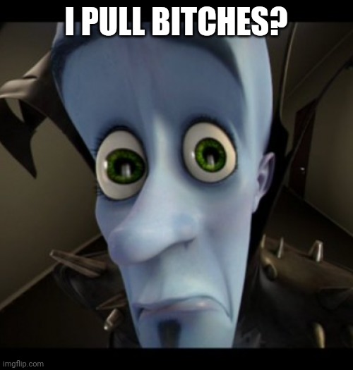 You pull Bitches | I PULL BITCHES? | image tagged in megamind | made w/ Imgflip meme maker