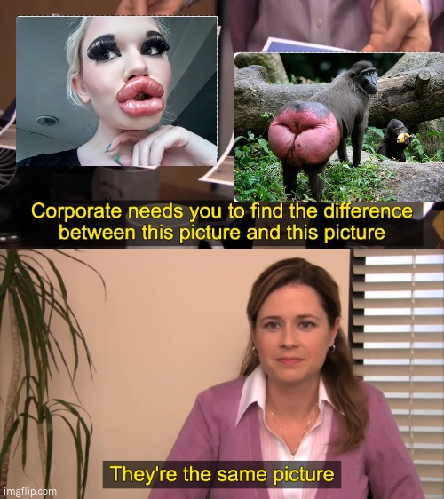 Your face looks like a baboon's ass | image tagged in there the same picture,lips,baboon,absurd,botox,vanity | made w/ Imgflip meme maker