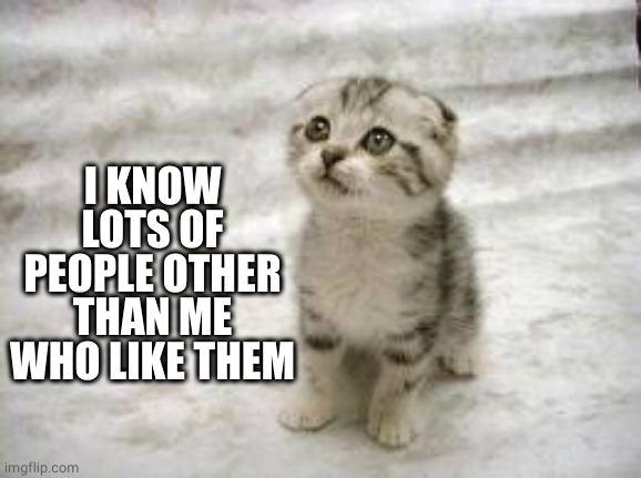 Sad Cat Meme | I KNOW LOTS OF PEOPLE OTHER THAN ME WHO LIKE THEM | image tagged in memes,sad cat | made w/ Imgflip meme maker