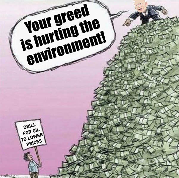 While they all make money you lose. | Your greed is hurting the 
environment! DRILL FOR OIL TO LOWER 
PRICES | image tagged in politics,drill,oil,democrats | made w/ Imgflip meme maker