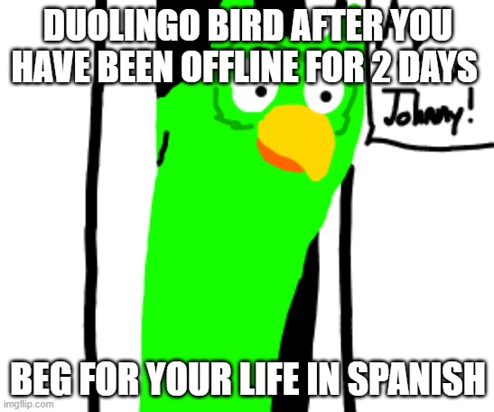 doulingo | DUOLINGO BIRD AFTER YOU HAVE BEEN OFFLINE FOR 2 DAYS; BEG FOR YOUR LIFE IN SPANISH | image tagged in doulingo | made w/ Imgflip meme maker