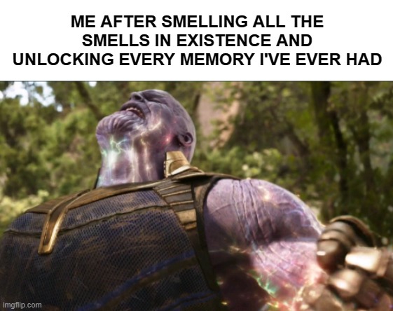 ME AFTER SMELLING ALL THE SMELLS IN EXISTENCE AND UNLOCKING EVERY MEMORY I'VE EVER HAD | image tagged in avengers infinity war | made w/ Imgflip meme maker