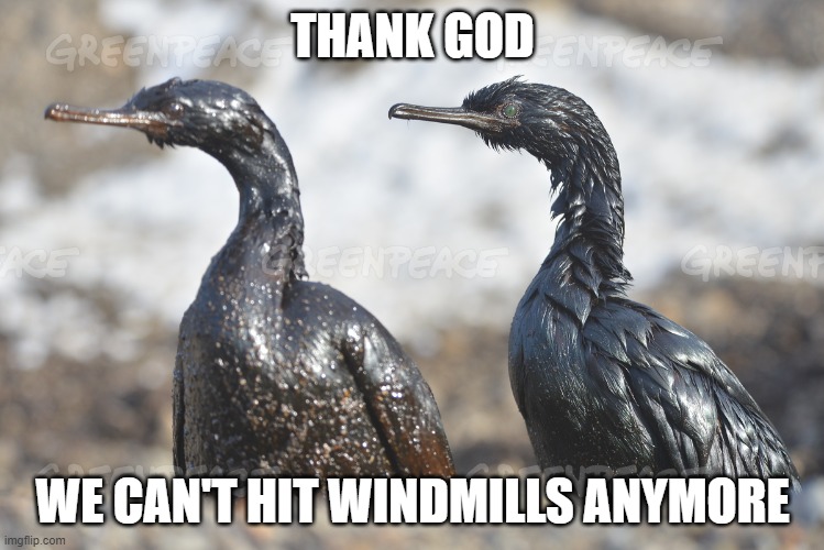 Oil Spill Birds | THANK GOD; WE CAN'T HIT WINDMILLS ANYMORE | image tagged in oil spill birds | made w/ Imgflip meme maker