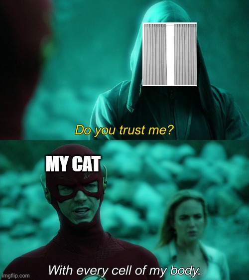 Do you trust me? |  MY CAT | image tagged in do you trust me with every cell of my body,cats,funny cats,cat | made w/ Imgflip meme maker