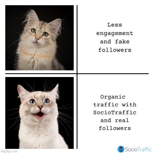 Say no to fake followers | image tagged in instagram,followers,likes | made w/ Imgflip meme maker