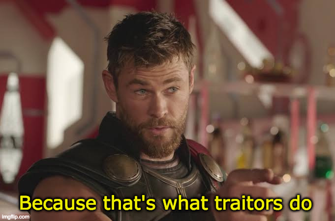 Thor hero | Because that's what traitors do | image tagged in thor hero | made w/ Imgflip meme maker