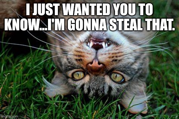 Steal Ur Post | I JUST WANTED YOU TO KNOW...I'M GONNA STEAL THAT. | image tagged in facebook | made w/ Imgflip meme maker