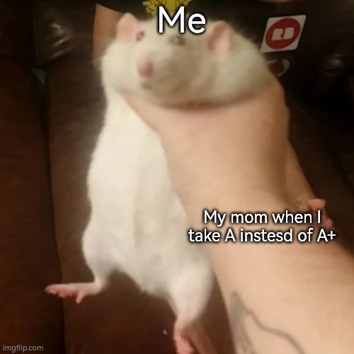 Grabbing a fat rat | Me; My mom when I take A instesd of A+ | image tagged in grabbing a fat rat | made w/ Imgflip meme maker