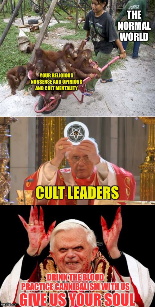 YOUR RELIGIOUS NONSENSE AND OPINIONS AND CULT MENTALITY THE NORMAL WORLD CULT LEADERS DRINK THE BLOOD
PRACTICE CANNIBALISM WITH US GIVE US Y | image tagged in wheelbarrow orangutans | made w/ Imgflip meme maker