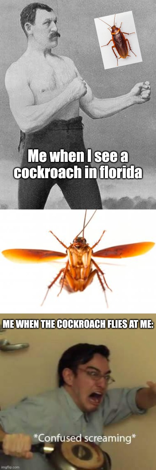 Everyone is brave til' the cockroach flies at them. | Me when I see a cockroach in florida; ME WHEN THE COCKROACH FLIES AT ME: | image tagged in boxer,filthy frank confused scream,florida,cockroaches | made w/ Imgflip meme maker