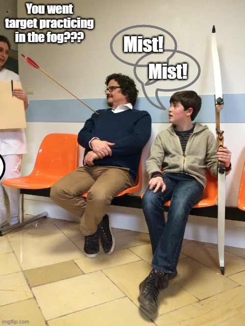 Like father like son. | You went target practicing in the fog??? Mist! Mist! | image tagged in bow and arrow accident | made w/ Imgflip meme maker