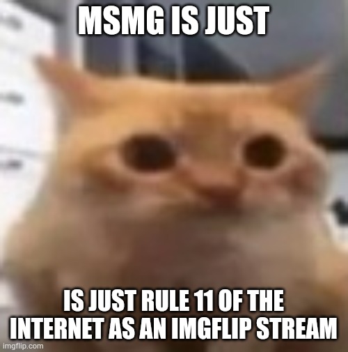 spoingus | MSMG IS JUST; IS JUST RULE 11 OF THE INTERNET AS AN IMGFLIP STREAM | image tagged in spoingus | made w/ Imgflip meme maker