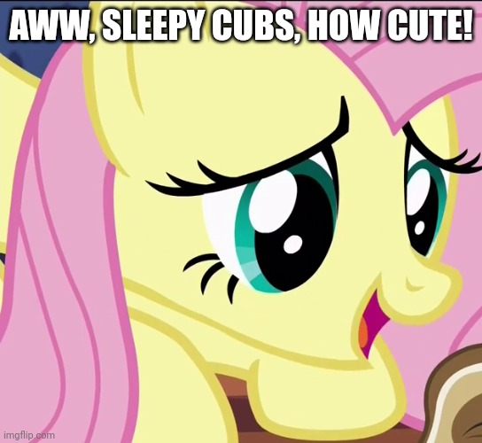 AWW, SLEEPY CUBS, HOW CUTE! | made w/ Imgflip meme maker