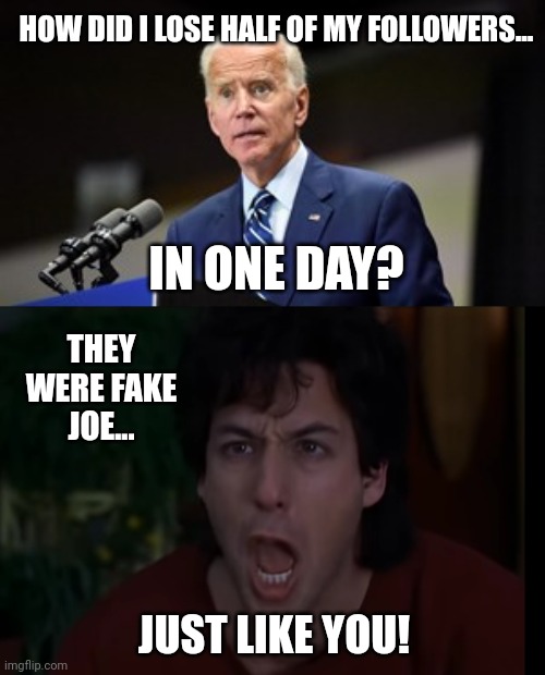 Just like you Joe. | HOW DID I LOSE HALF OF MY FOLLOWERS... IN ONE DAY? THEY WERE FAKE JOE... JUST LIKE YOU! | image tagged in hey joe,wedding singer - yesterday | made w/ Imgflip meme maker