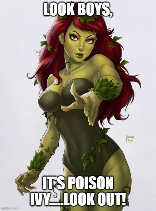 Look out! It's poison ivy! Better get to work! |  LOOK BOYS, IT'S POISON IVY.....LOOK OUT! | image tagged in poison ivy,hives,rashes,itchy,watery eyes | made w/ Imgflip meme maker