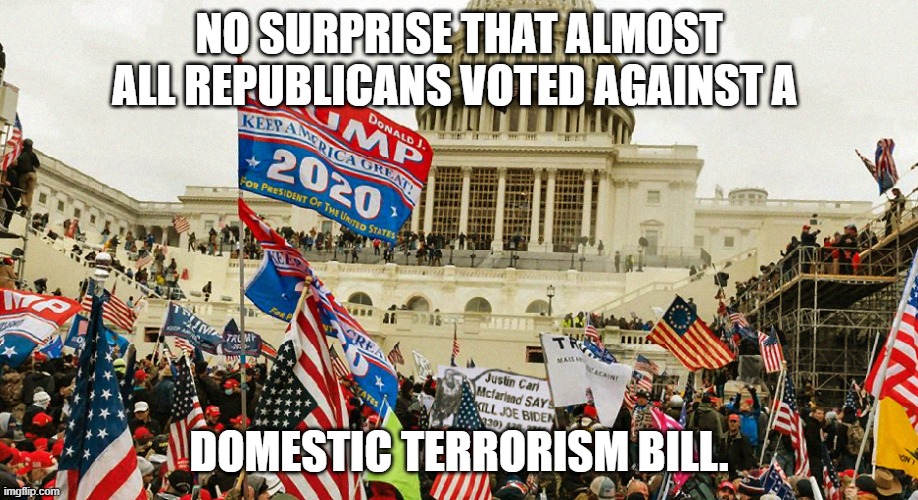 The January 6th Insurrection | NO SURPRISE THAT ALMOST ALL REPUBLICANS VOTED AGAINST A; DOMESTIC TERRORISM BILL. | image tagged in the january 6th insurrection | made w/ Imgflip meme maker
