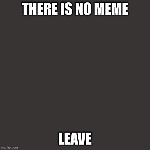 Blank Transparent Square | THERE IS NO MEME; LEAVE | image tagged in blank transparent square | made w/ Imgflip meme maker