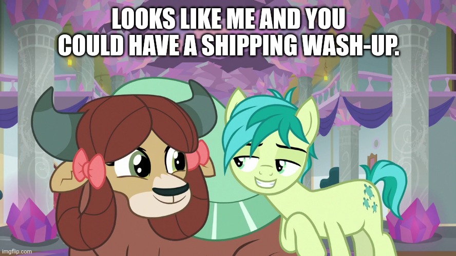LOOKS LIKE ME AND YOU COULD HAVE A SHIPPING WASH-UP. | made w/ Imgflip meme maker