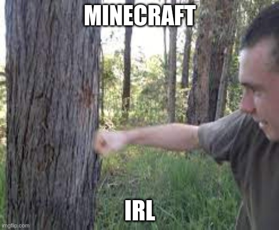 MINECRAFT; IRL | image tagged in minecraft | made w/ Imgflip meme maker